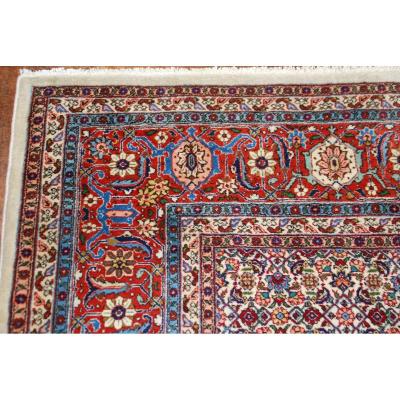 Persian Rug 307cmx274cm