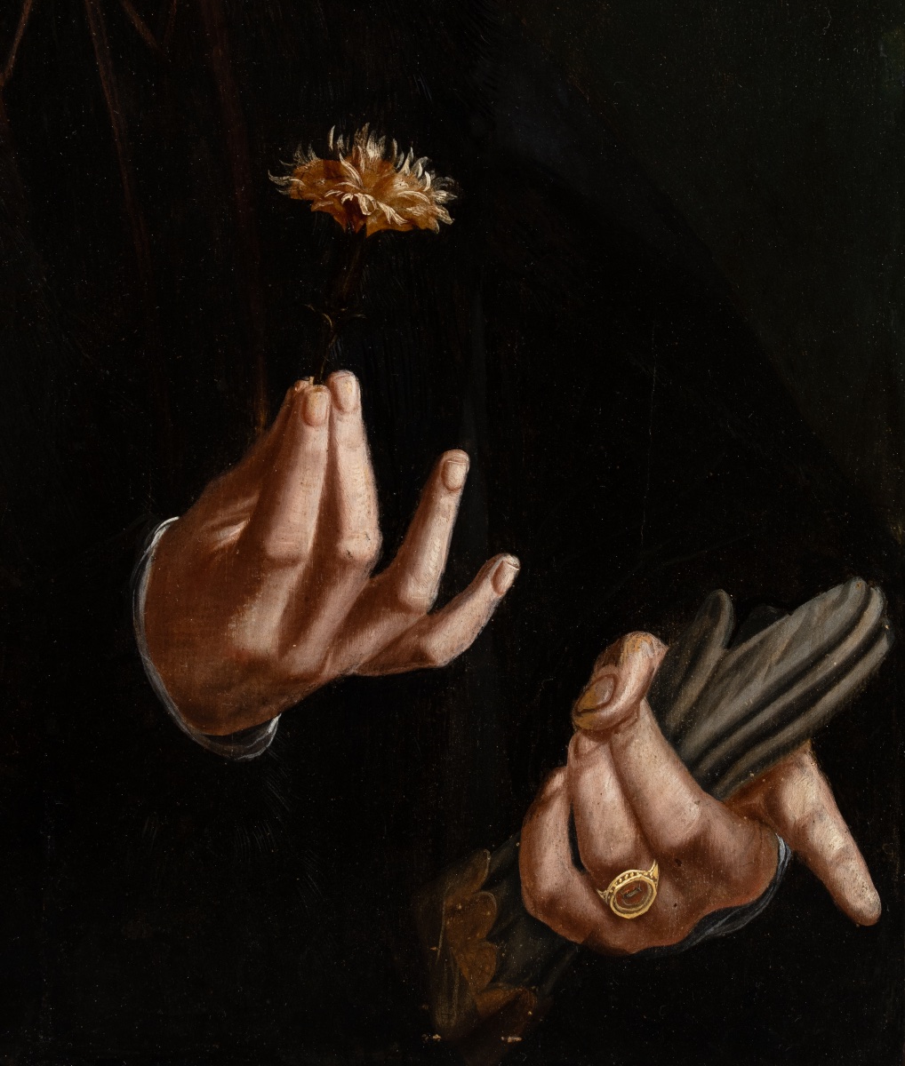 Portrait d’un jeune homme tenant un œillet Attribué à Bartholomaeus I Bruyn (vers 1493 – 1555) -photo-3