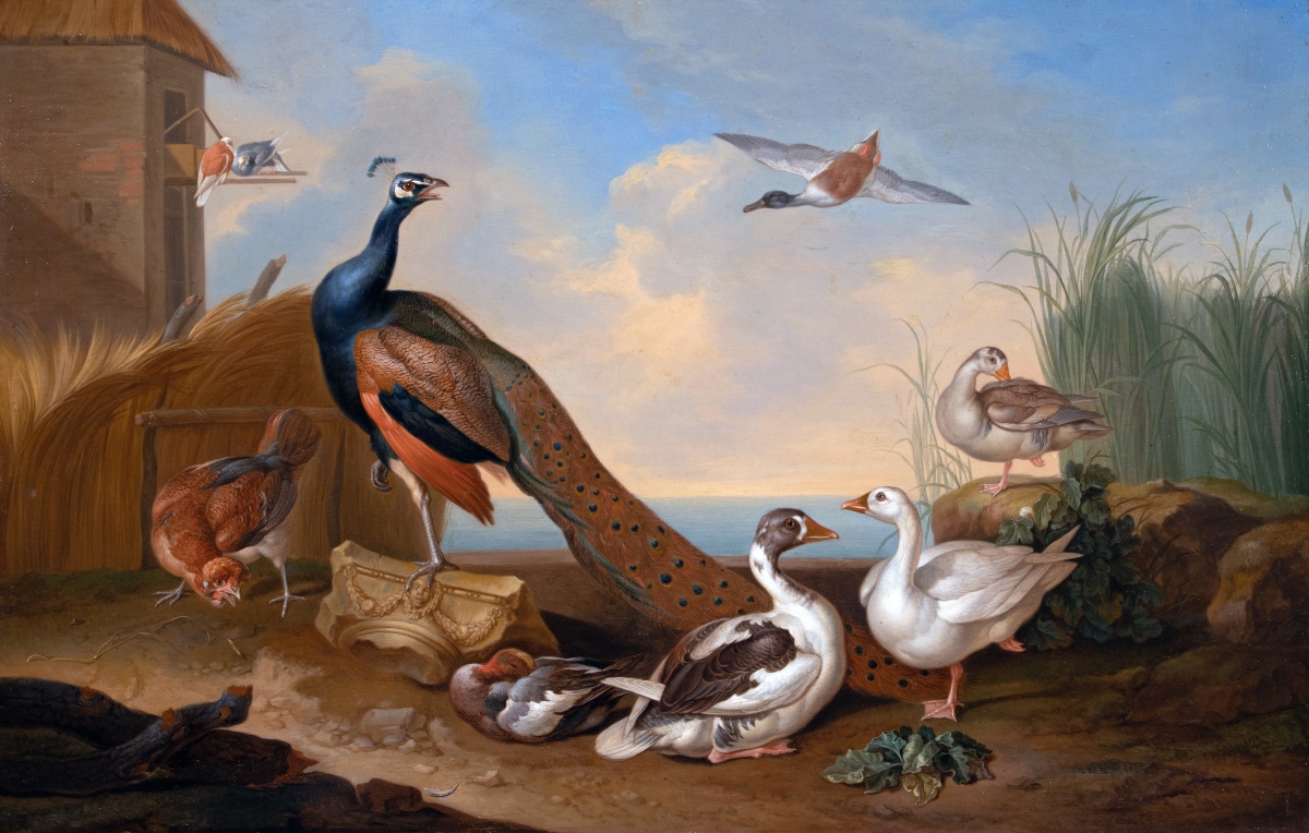 Oiseaux dans un paysage lacustre. Jakab Bogdány (1660–1724) & atelier-photo-2