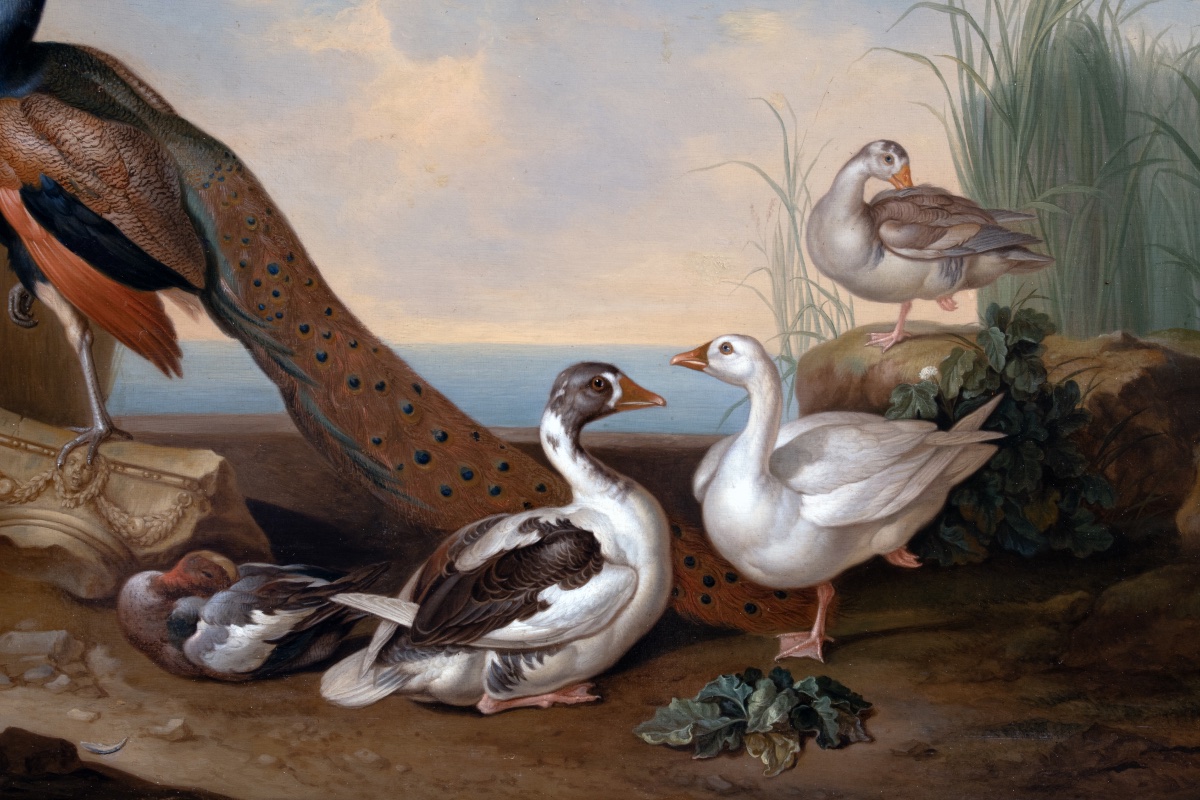 Oiseaux dans un paysage lacustre. Jakab Bogdány (1660–1724) & atelier-photo-3
