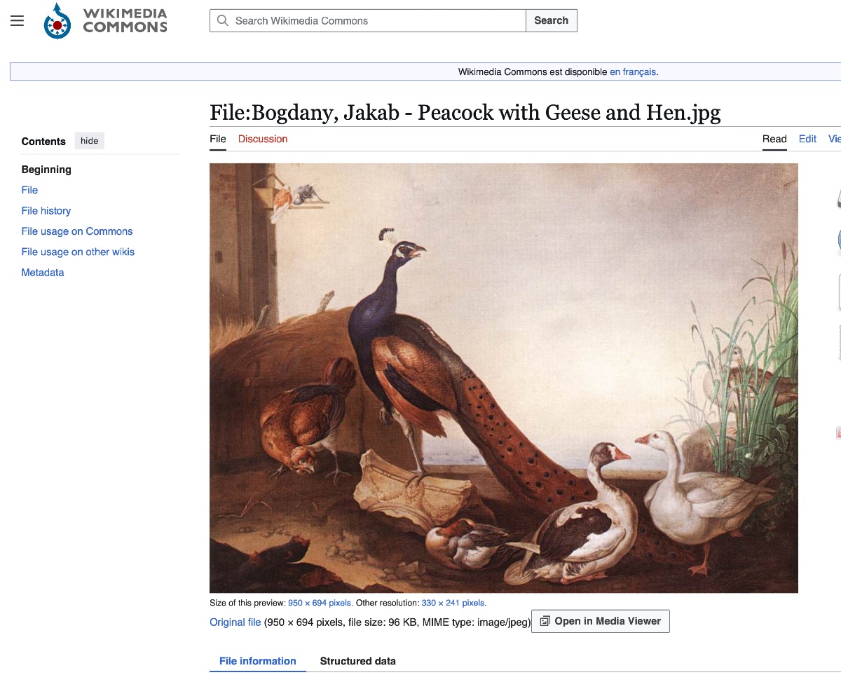 Oiseaux dans un paysage lacustre. Jakab Bogdány (1660–1724) & atelier-photo-2