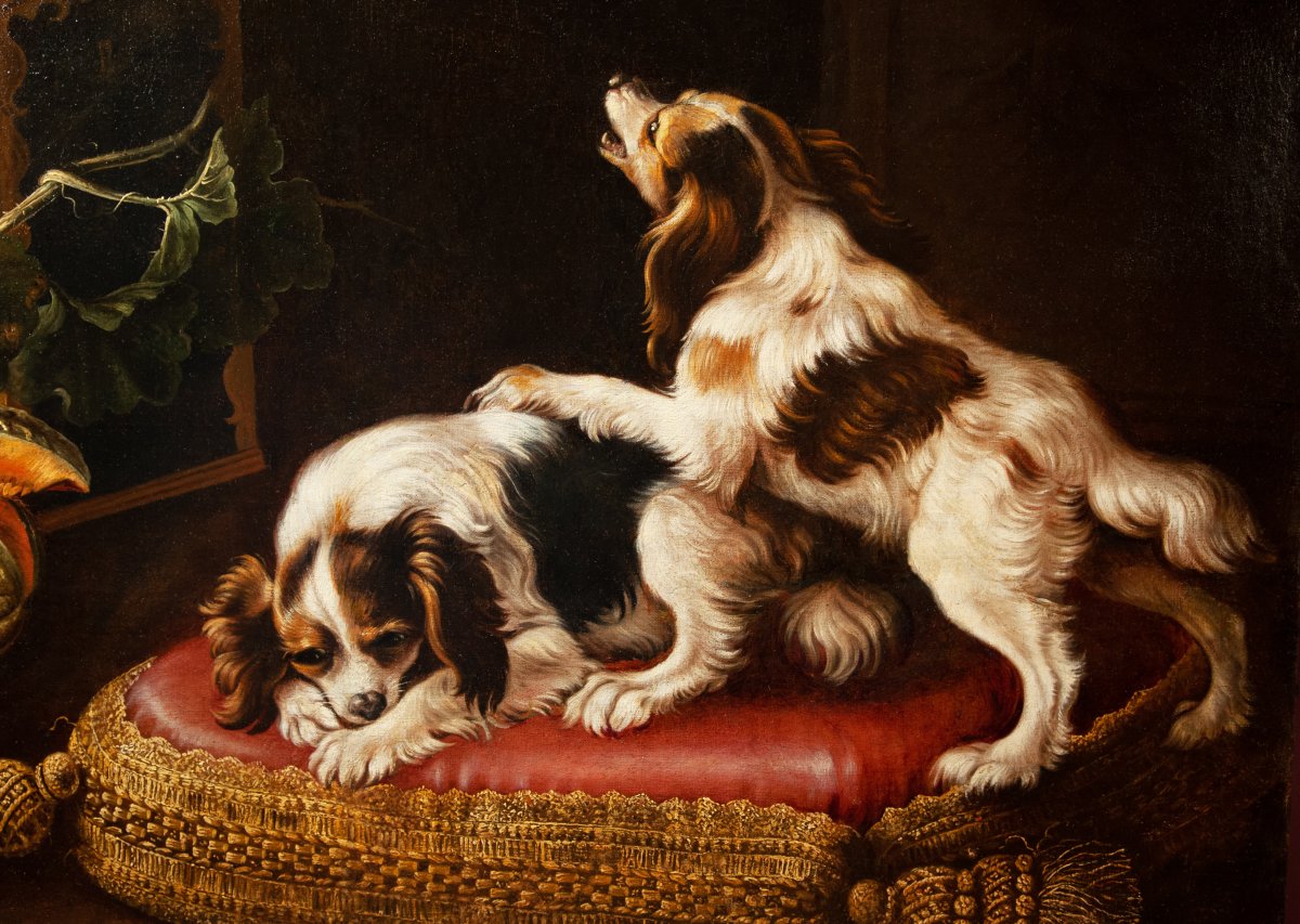 Parrot Confronting Two Spaniels. By Reynaud Levieux (nîmes 1613-rome 1699)-photo-2