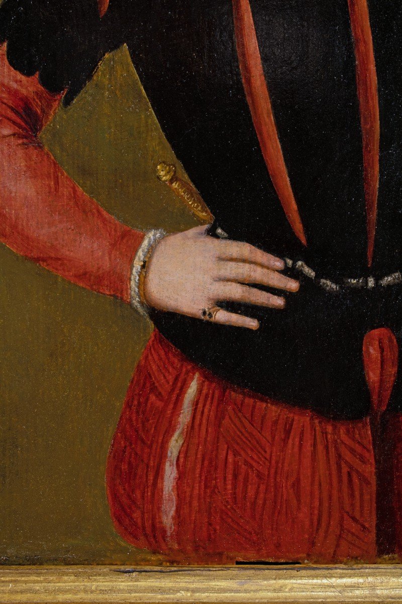 School Of Corneille De Lyon (1500-1575). Young Man With A Black Feathered Cap.-photo-4