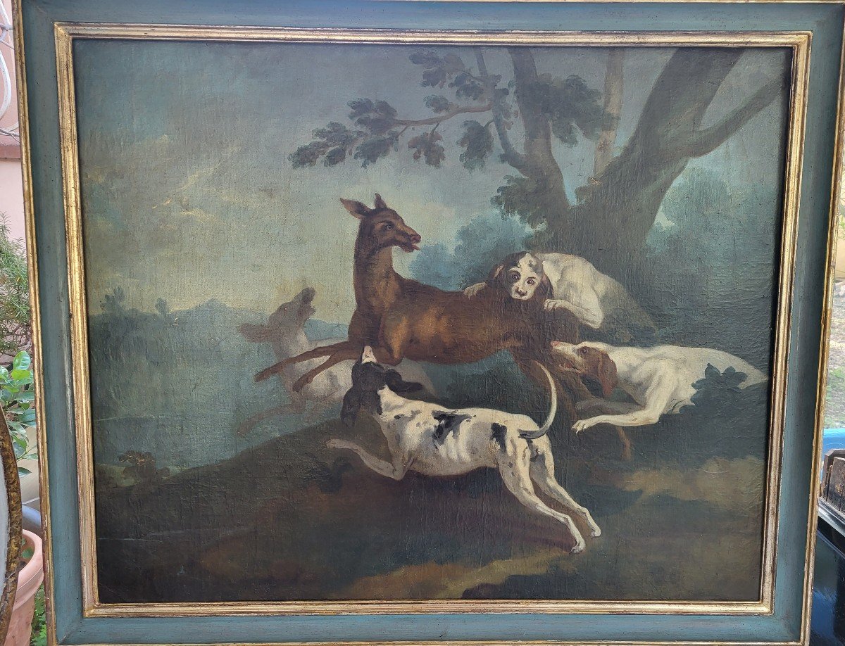 Large Oil S/t Sv Desportes "hunting" 18th Century