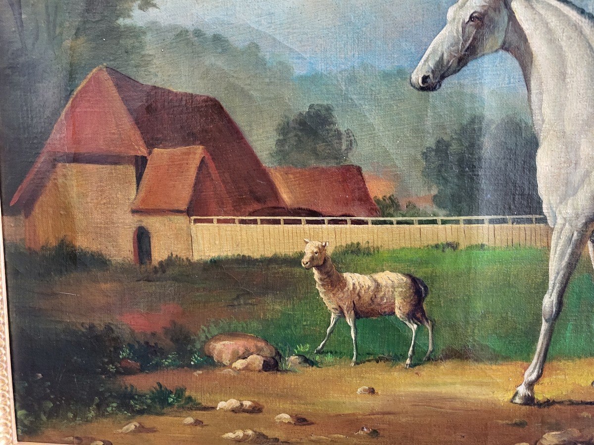Ecole Anglaise Du XIXe Siècle  H/t Cheval Blanc Cadre-photo-2