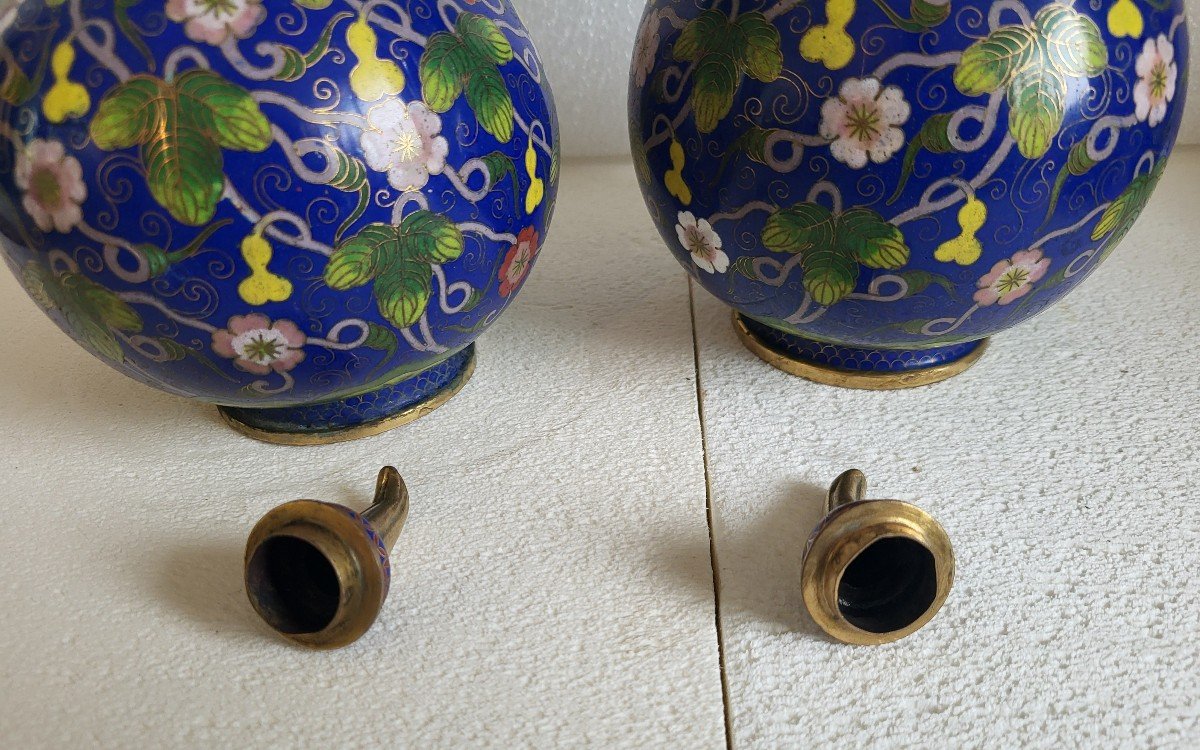 Paire De Vases Bouteilles Cloisonnés  Chine époque XIXe Siècle -photo-4