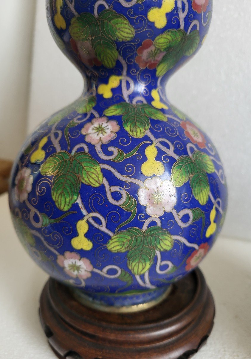 Paire De Vases Bouteilles Cloisonnés  Chine époque XIXe Siècle -photo-2