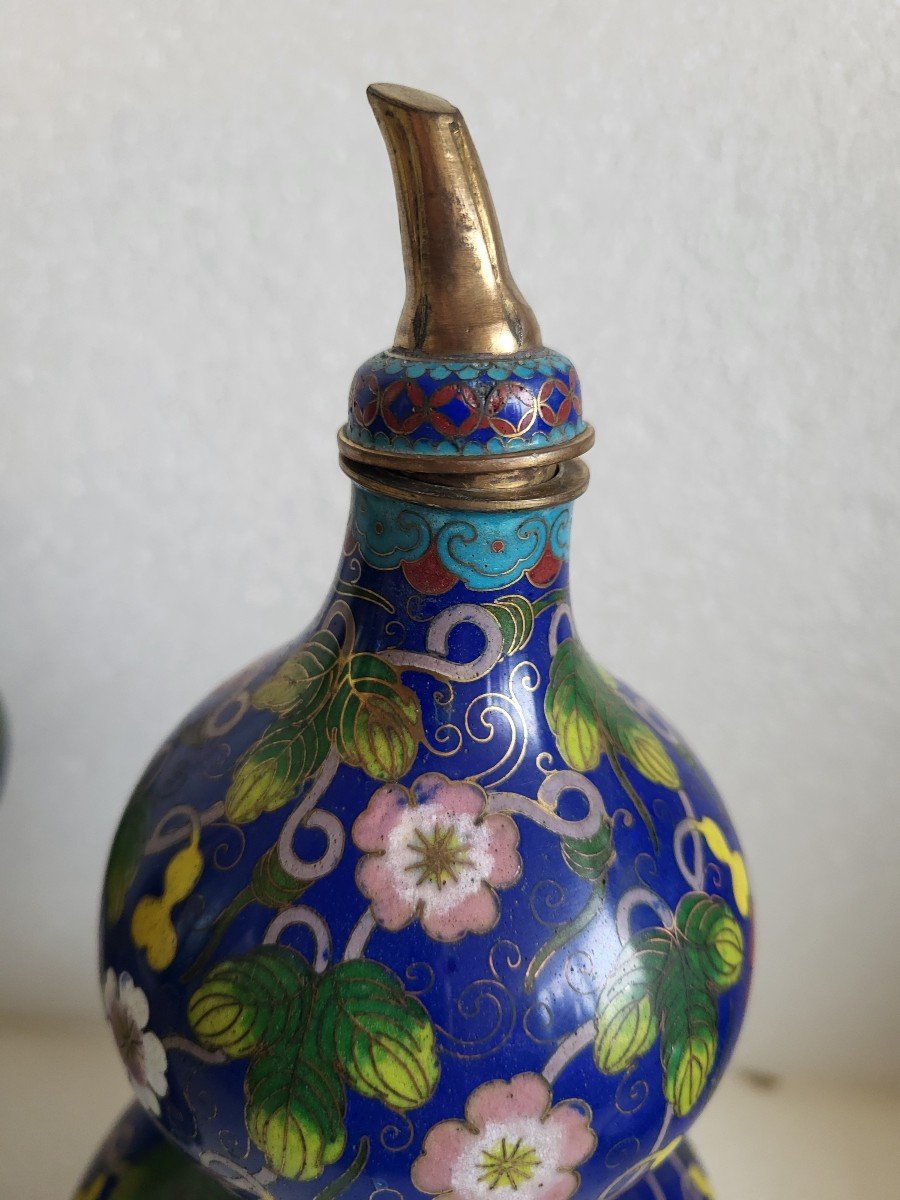 Paire De Vases Bouteilles Cloisonnés  Chine époque XIXe Siècle -photo-3