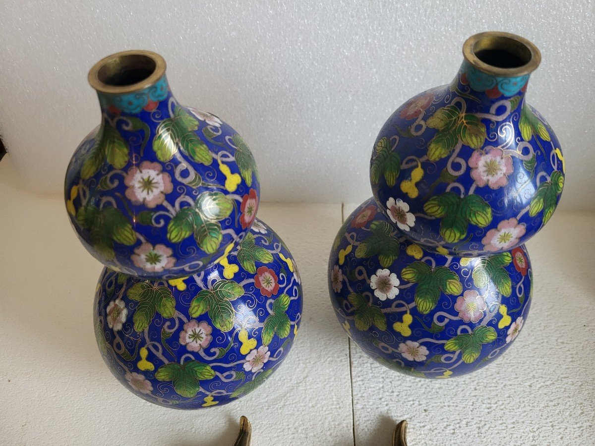 Paire De Vases Bouteilles Cloisonnés  Chine époque XIXe Siècle -photo-4