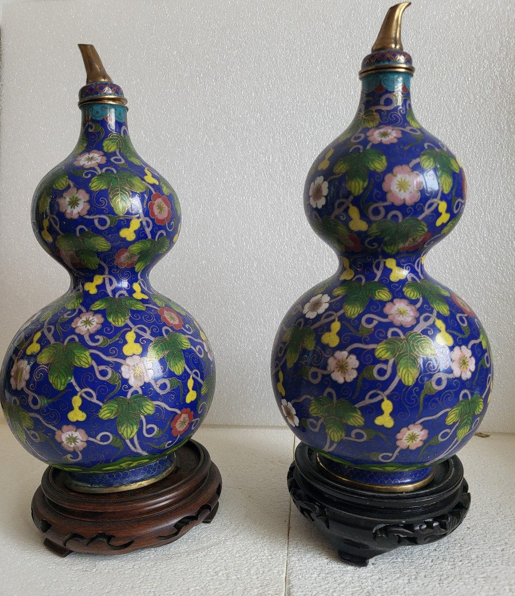 Paire De Vases Bouteilles Cloisonnés  Chine époque XIXe Siècle -photo-7