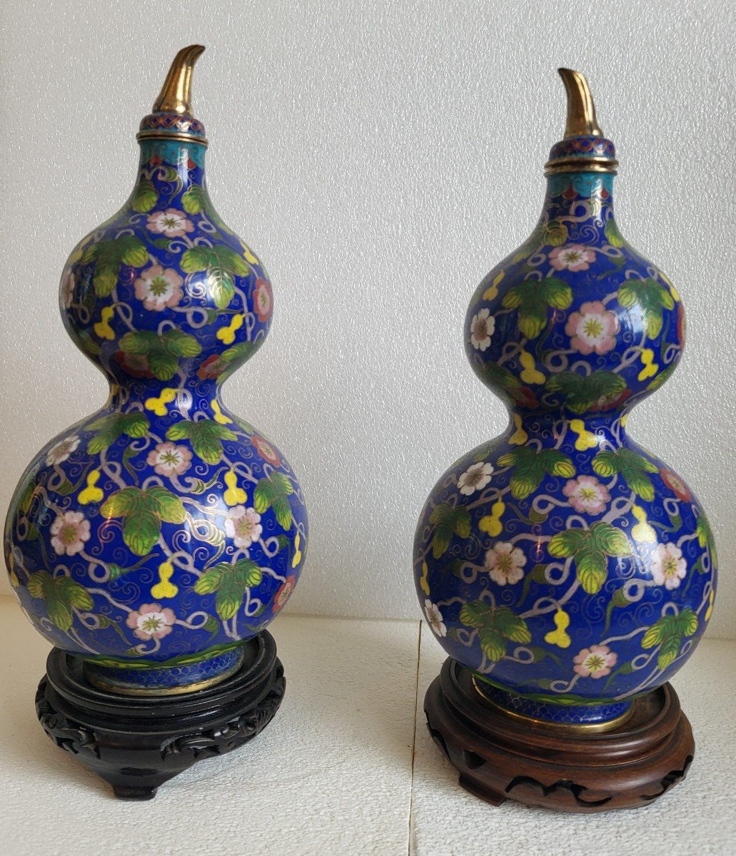 Paire De Vases Bouteilles Cloisonnés  Chine époque XIXe Siècle 