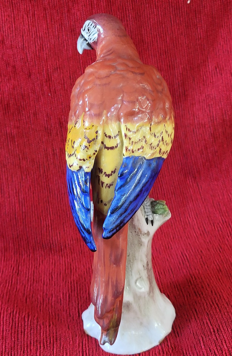 Perroquet porcelaine Capodimonte  XIXe -photo-4