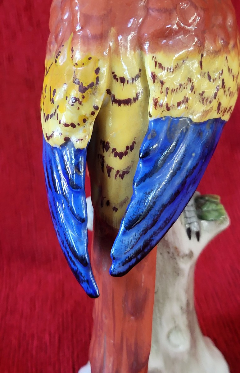 Perroquet porcelaine Capodimonte  XIXe -photo-1