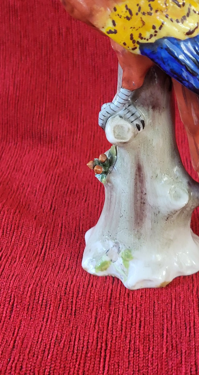 Perroquet porcelaine Capodimonte  XIXe -photo-2
