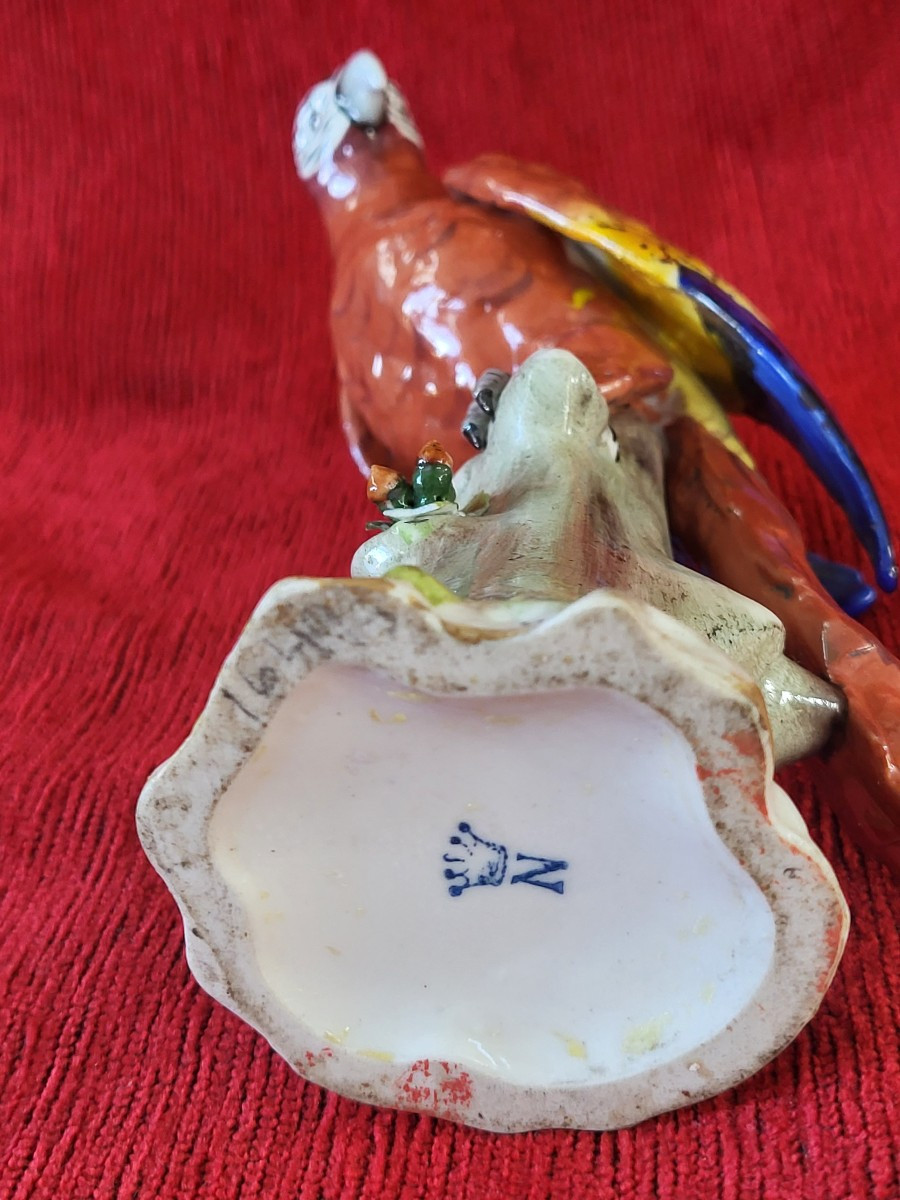 Perroquet porcelaine Capodimonte  XIXe -photo-4