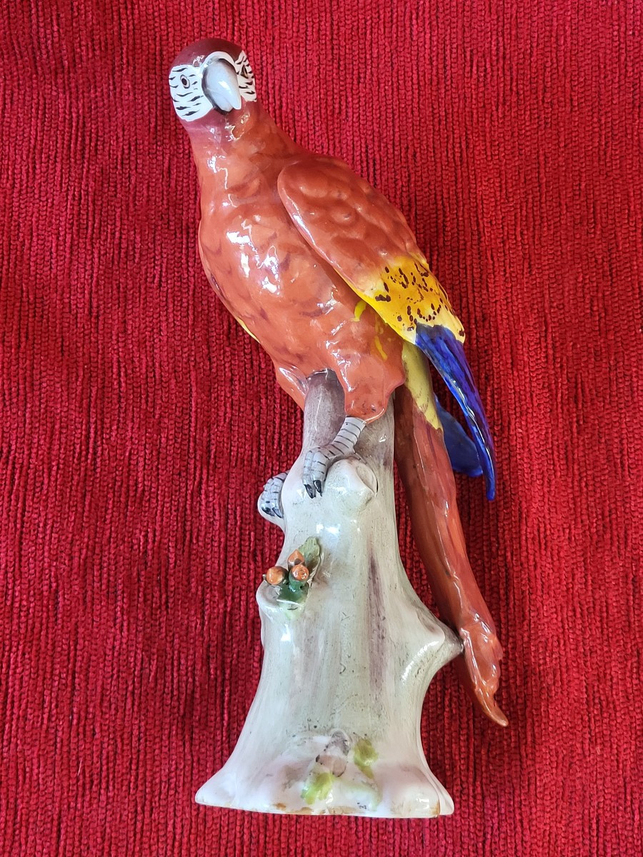 Perroquet porcelaine Capodimonte  XIXe -photo-6