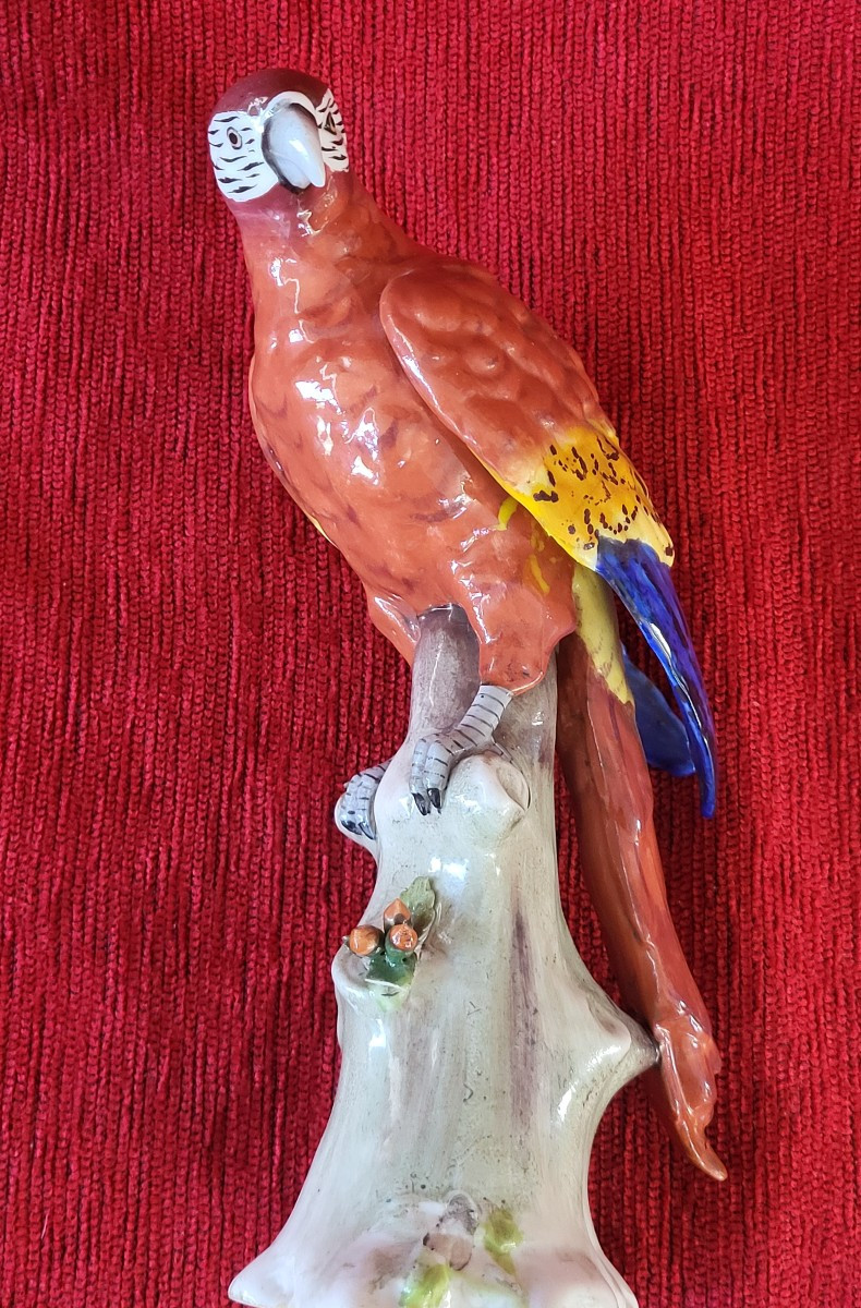 Perroquet porcelaine Capodimonte  XIXe -photo-7