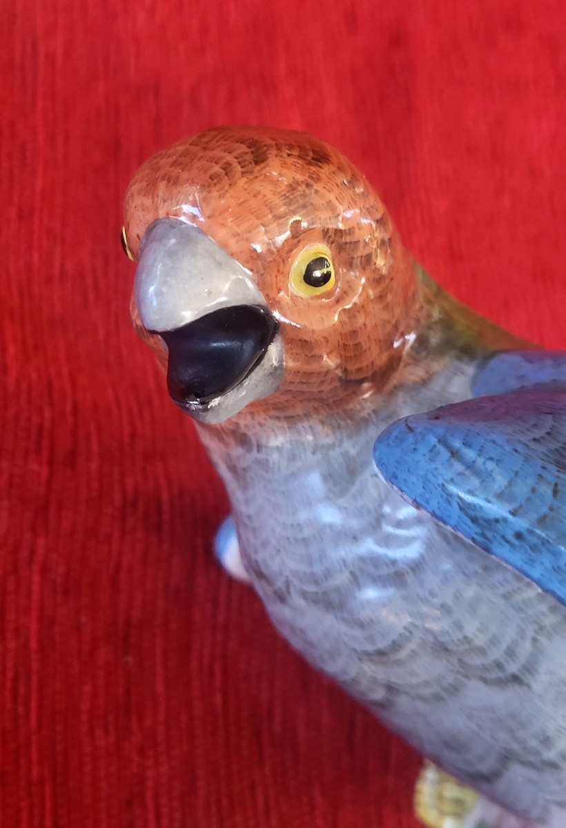 Perroquet  porcelaine  de Locre Paris époque XIXe -photo-4