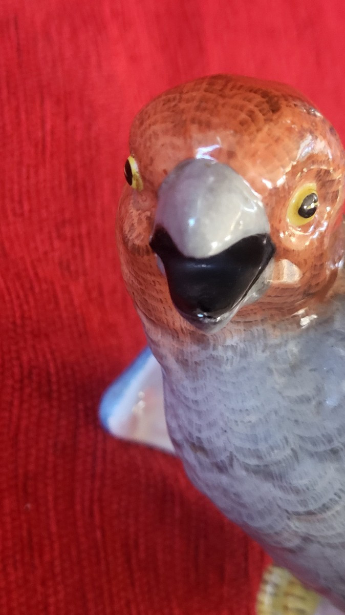 Perroquet  porcelaine  de Locre Paris époque XIXe -photo-6