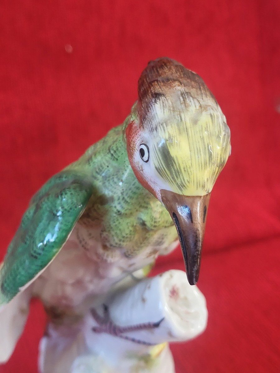 Perroquet  porcelaine de Locre Paris  époque XIXe -photo-3