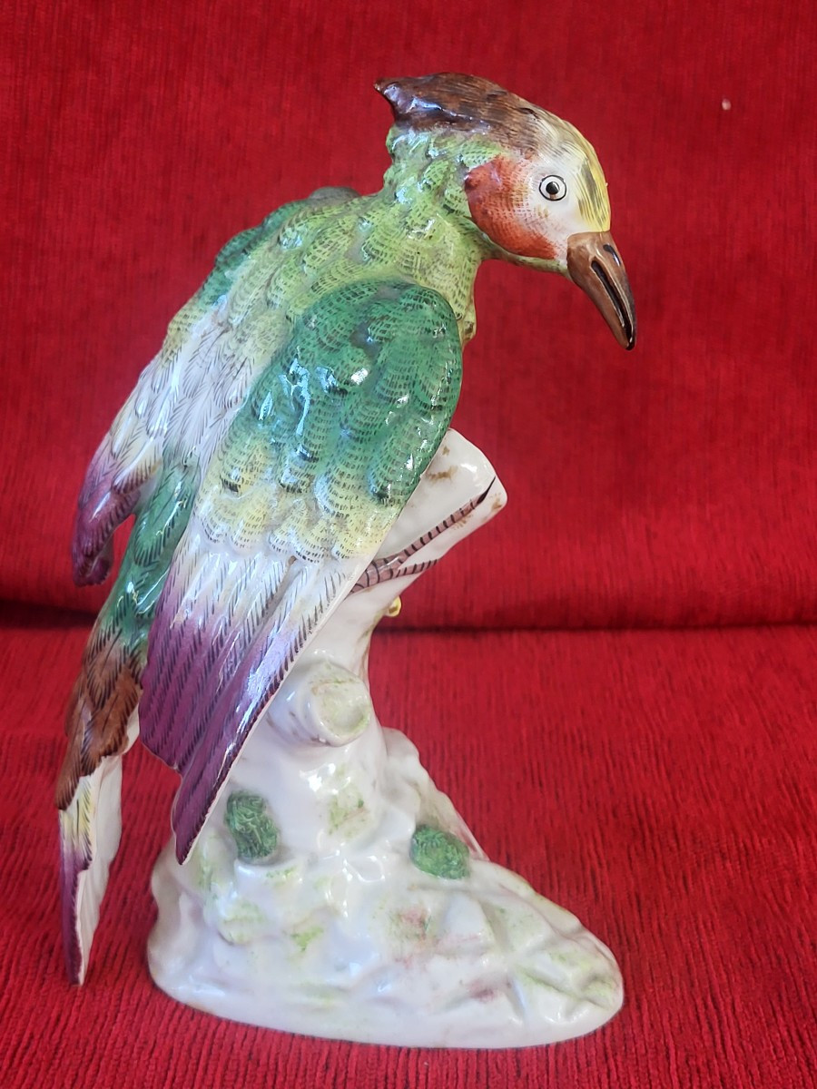 Perroquet  porcelaine de Locre Paris  époque XIXe -photo-6