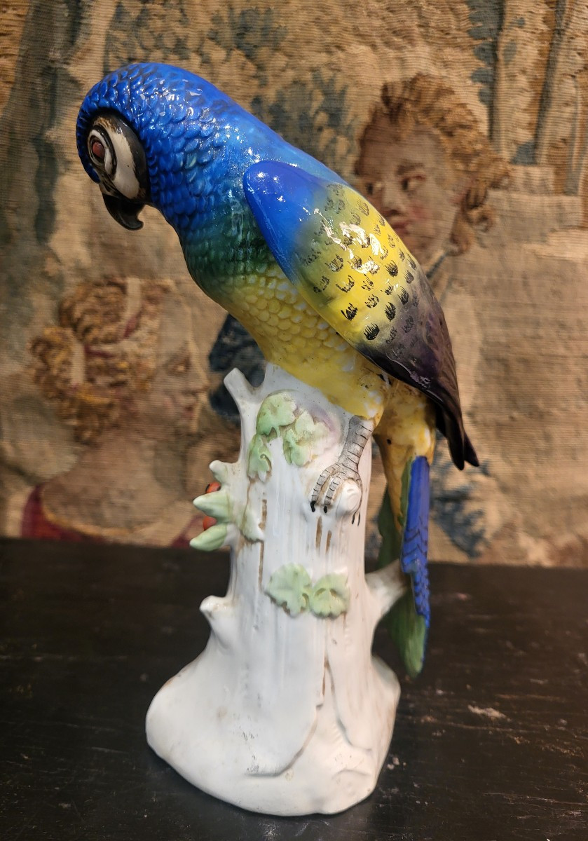 German Porcelain Parrot C.1900-photo-2