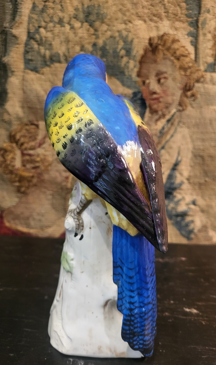 German Porcelain Parrot C.1900-photo-2