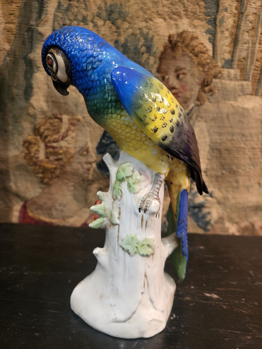 German Porcelain Parrot C.1900-photo-3