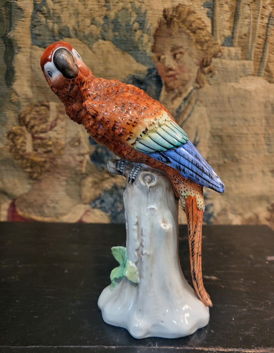 German Porcelain Parrot From The 19th Century -photo-2