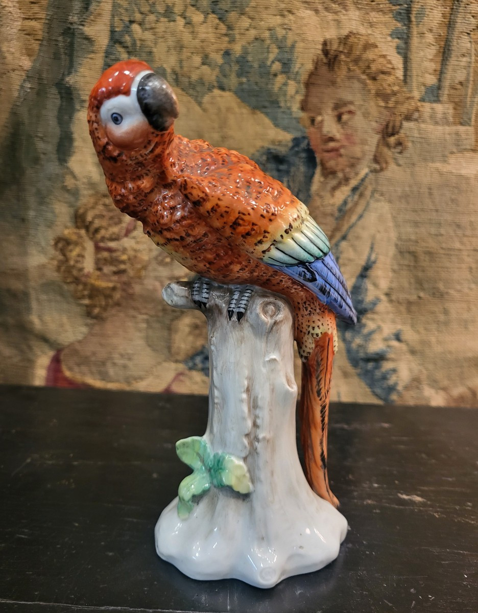 German Porcelain Parrot From The 19th Century 