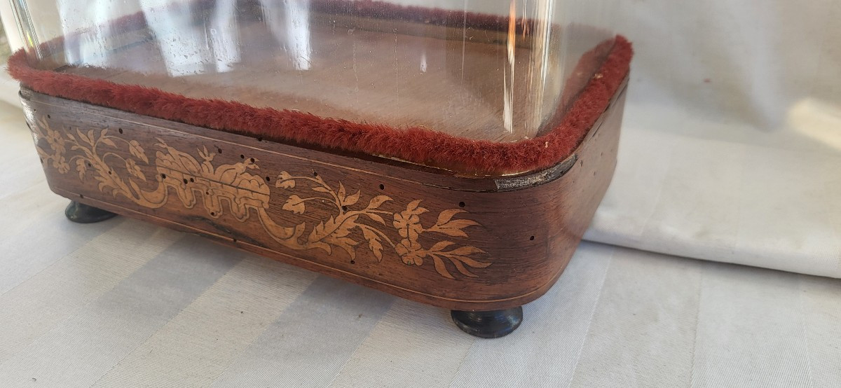 Grand globe verre époque  Restauration  XIXe -photo-3