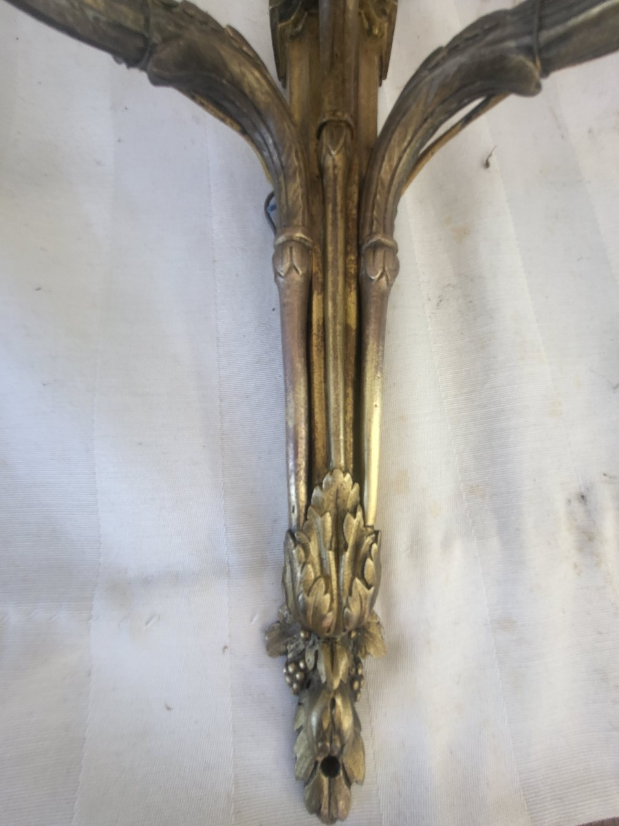 Paire d' appliques  bronze Louis XVI   fin XVIII e /XIXe -photo-4
