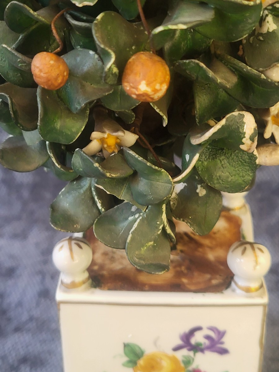 Locre Porcelain Orange Tree Planter Paris 19th Century-photo-4