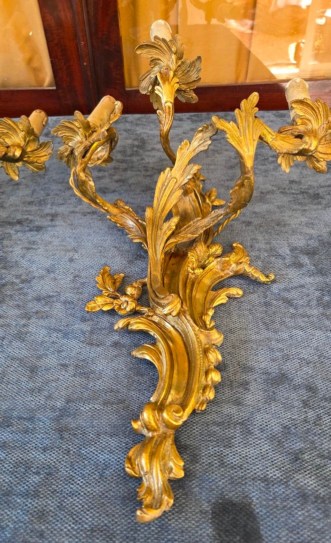 Pair Of Large Wall Sconces, Louis XV-style Bronze, 19th Century -photo-3