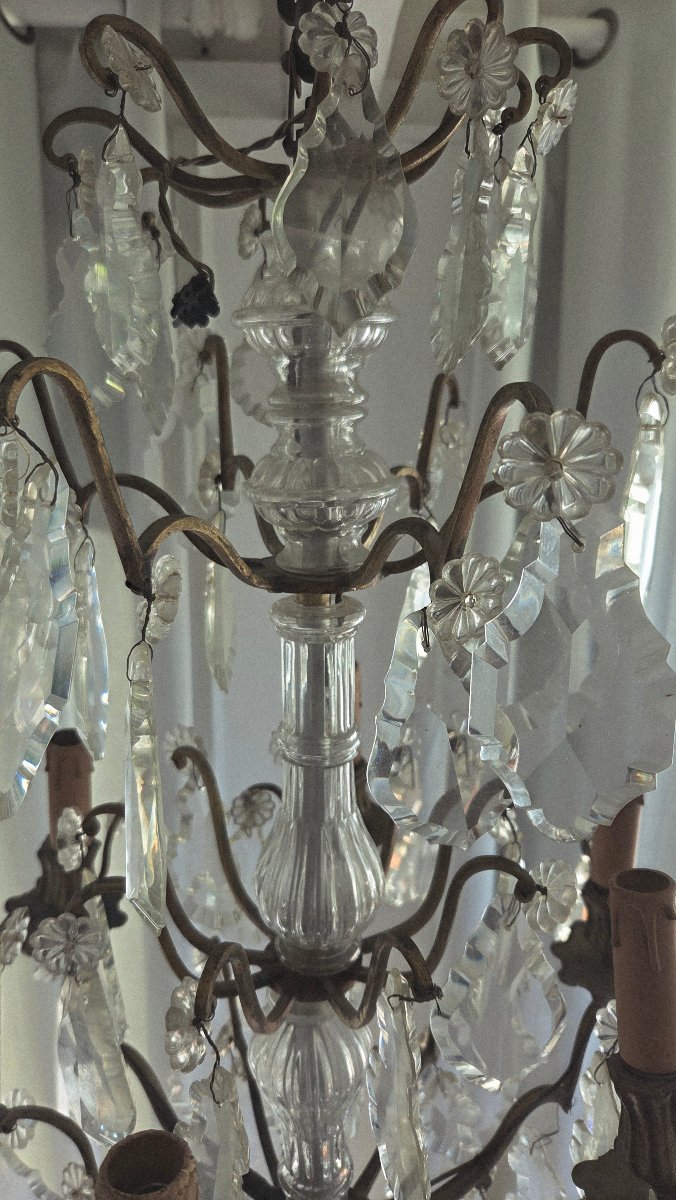 Louis XV Crystal Chandelier, 19th Century -photo-8