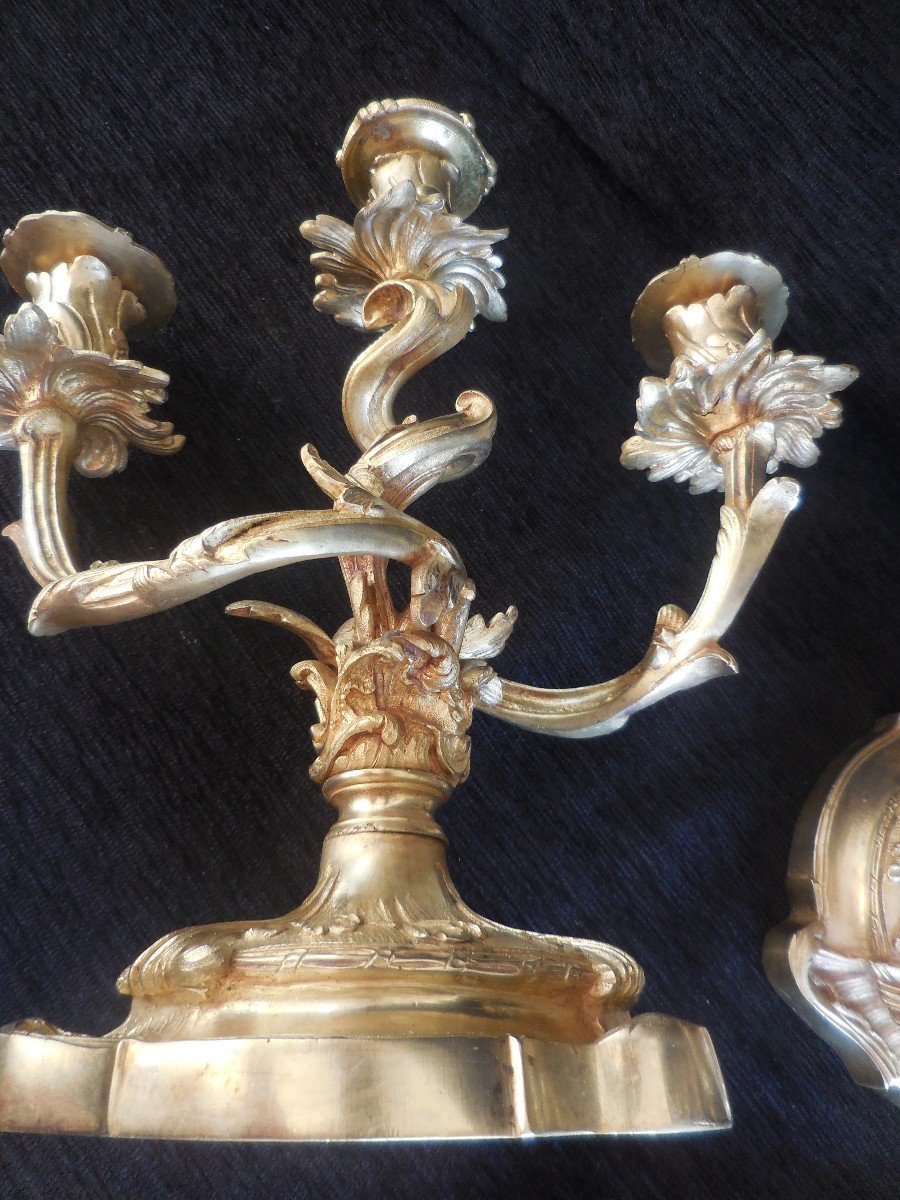 Paire De Candélabres Bronze Doré Rocaille. St Louis XV ép. XIXe-photo-3