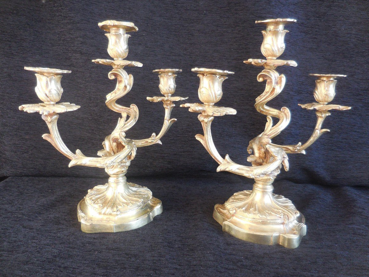 Pair Of Gilt Bronze Rocaille Candelabra. St Louis XV Th. Nineteenth