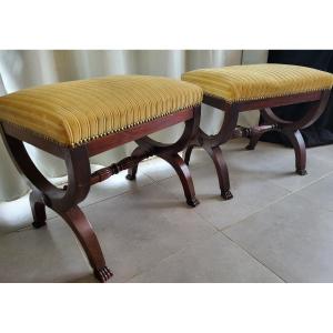 Pair Of Mahogany X-shaped Stools, 19th Century 