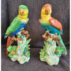 Pair Deutch  Porcelain Parrots Late 19th Century H 27cm