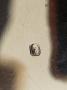 1582359-alb-686fbe88269d0.jpg