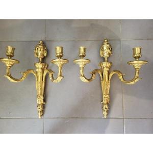 Paire de grandes appliques Louis XVI  bronze doré début XIXe 