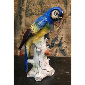 Perroquet  porcelaine  Allemande  c.1900