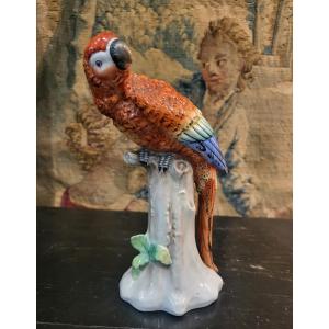 Perroquet  porcelaine  allemande  fin XIXe siècle 