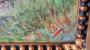 1819023-6aa16441db0ff.jpg