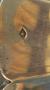 1821942-alb-6aa9136b0c247.jpg