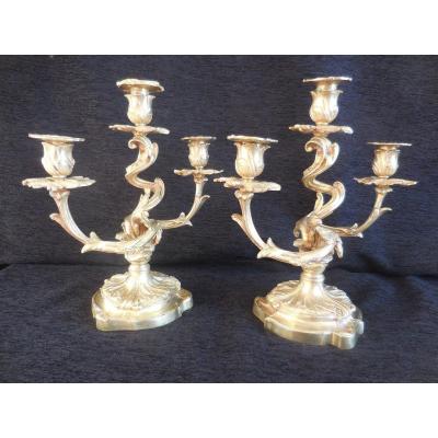 Pair Of Gilt Bronze Rocaille Candelabra. St Louis XV Th. Nineteenth