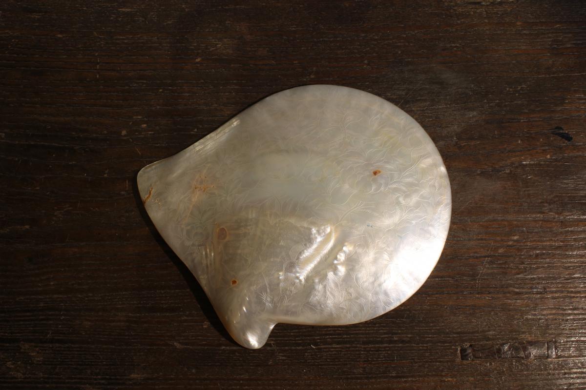 Shell-photo-4