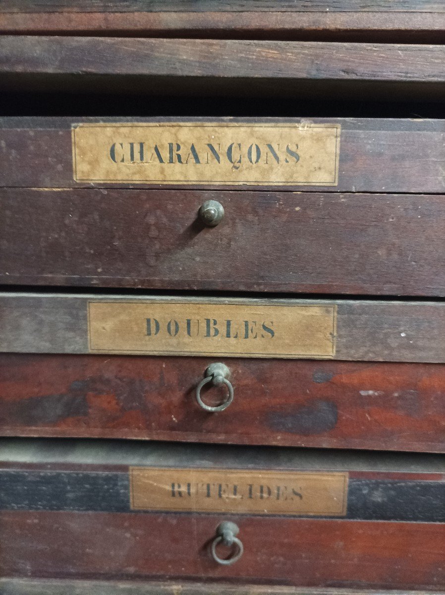 Meubles cabinet de curiosités anciens -photo-3