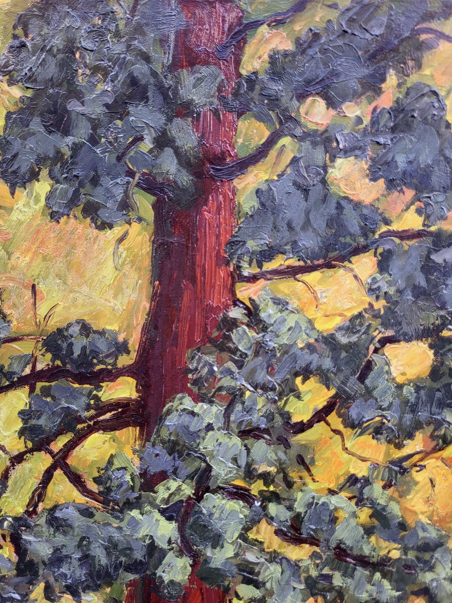 Oil On Canvas, Tree By Gustave Hervigo-photo-3