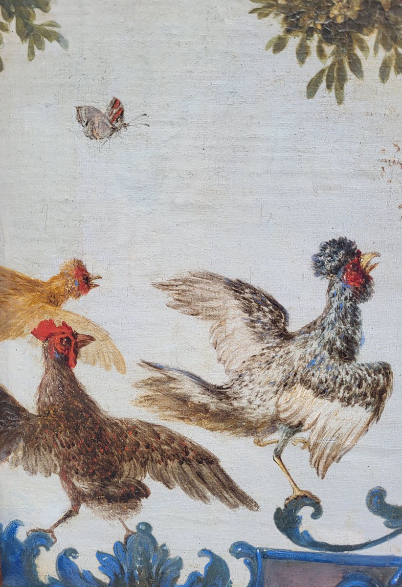 Oil On Canvas, *the Great Feeding Rooster*, 18th Century-photo-4